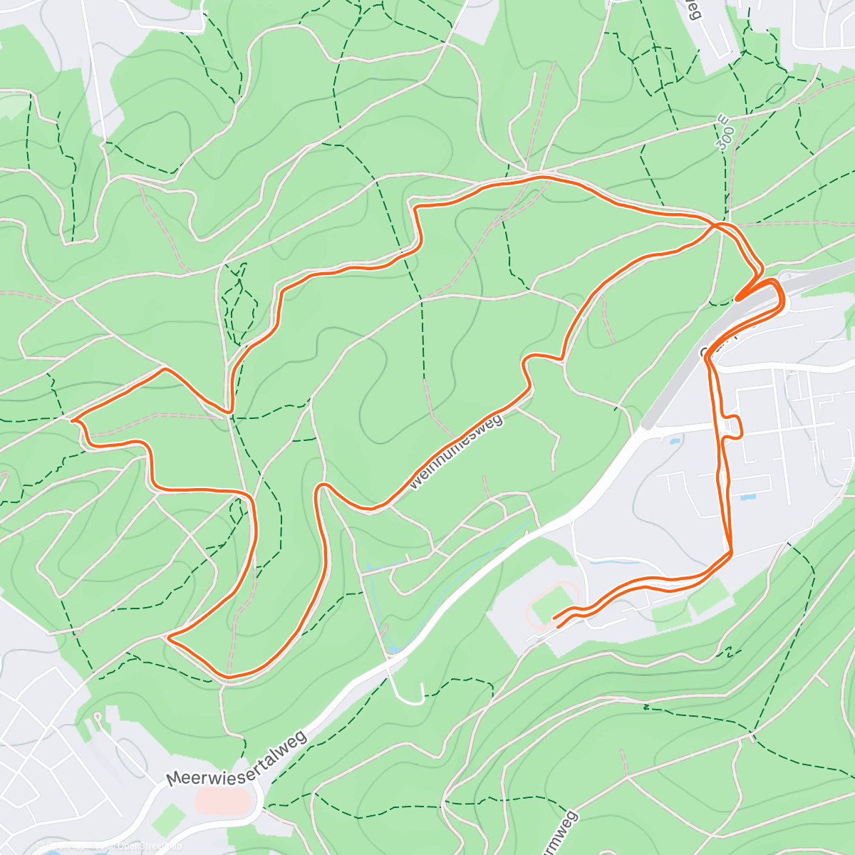 Карта физической активности (Internationaler Sparverein Silvesterlauf (34. Overall, 32. M, 3. AK) 🥶🤧)