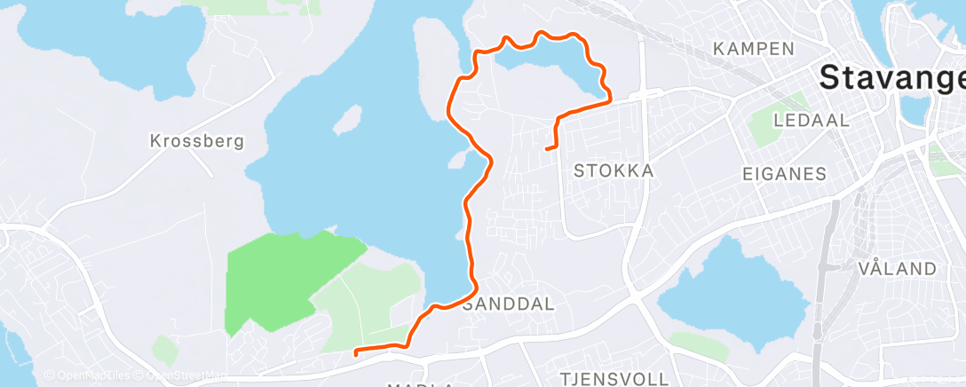 Карта физической активности (Evening Run)