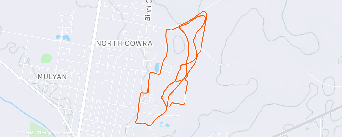 Карта физической активности (Morning Run)