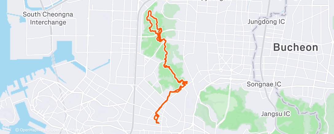 Map of the activity, Afternoon Trail Run