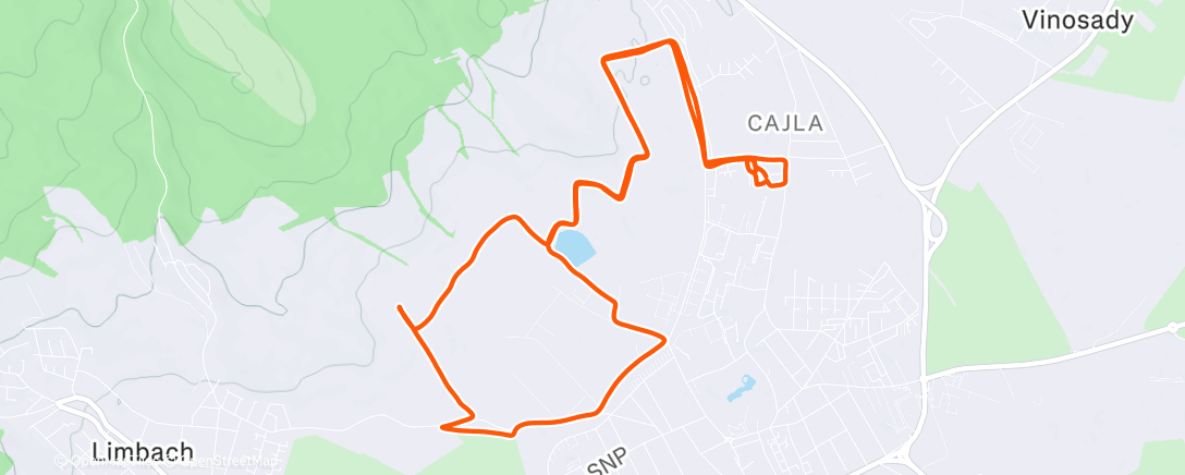 Карта физической активности (Morning Run)