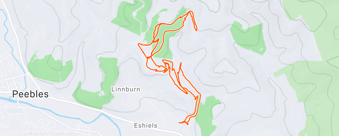 Карта физической активности (Birthday spin)