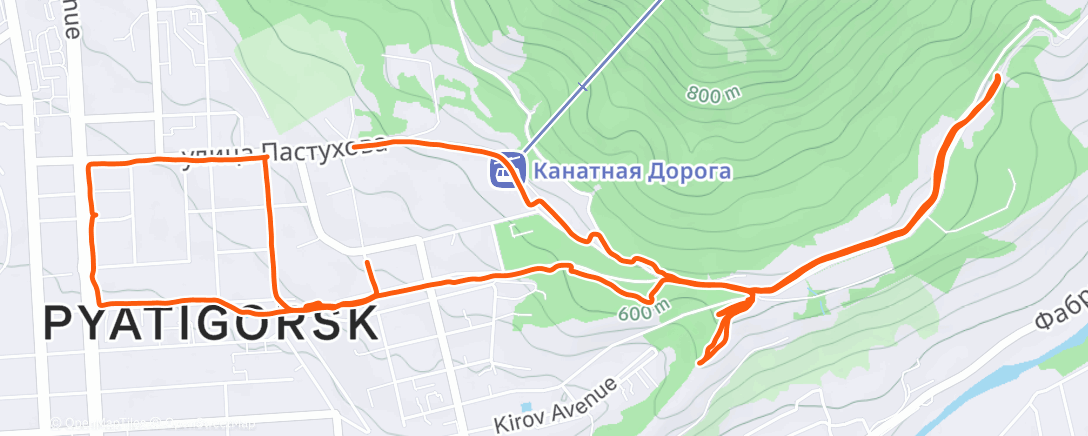 Карта физической активности (Трейлраннинг (вечер))