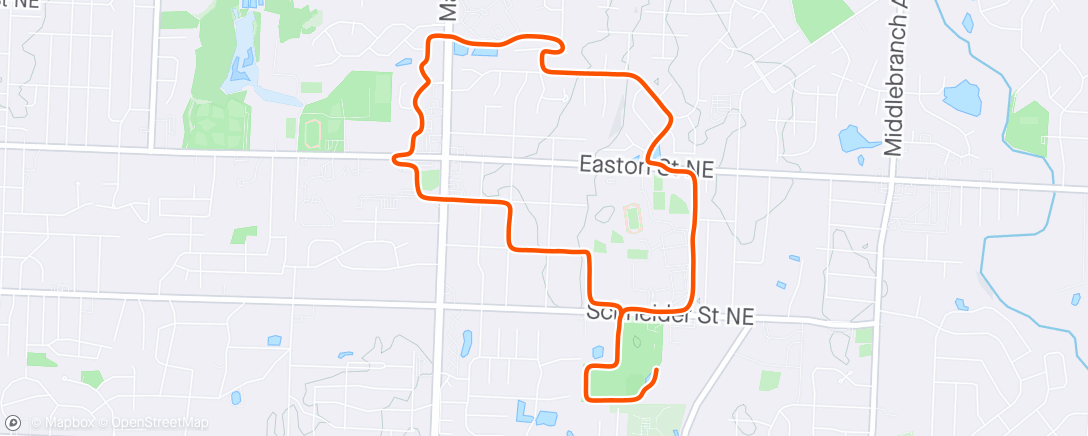 Map of the activity, Morning Run with Niko