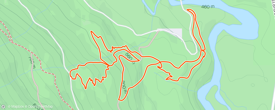 Map of the activity, Post-purchase pedal with ML