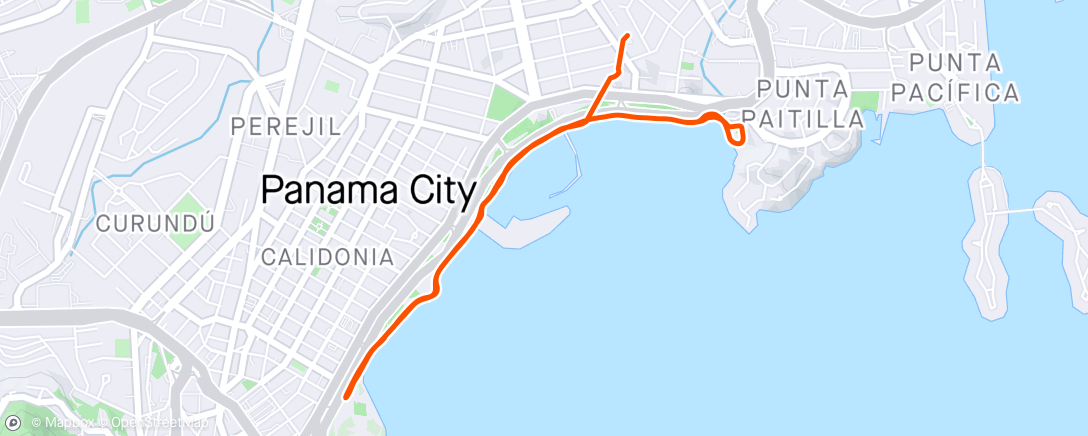Mapa de la actividad (Caminata por la mañana )