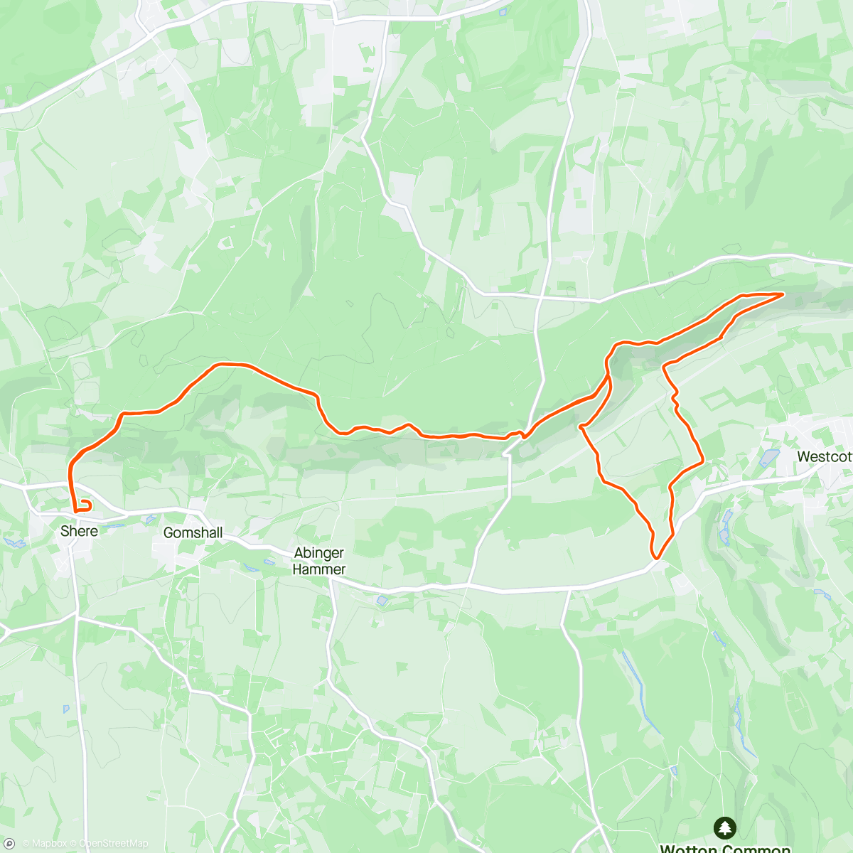 Map of the activity, Shere 20k race