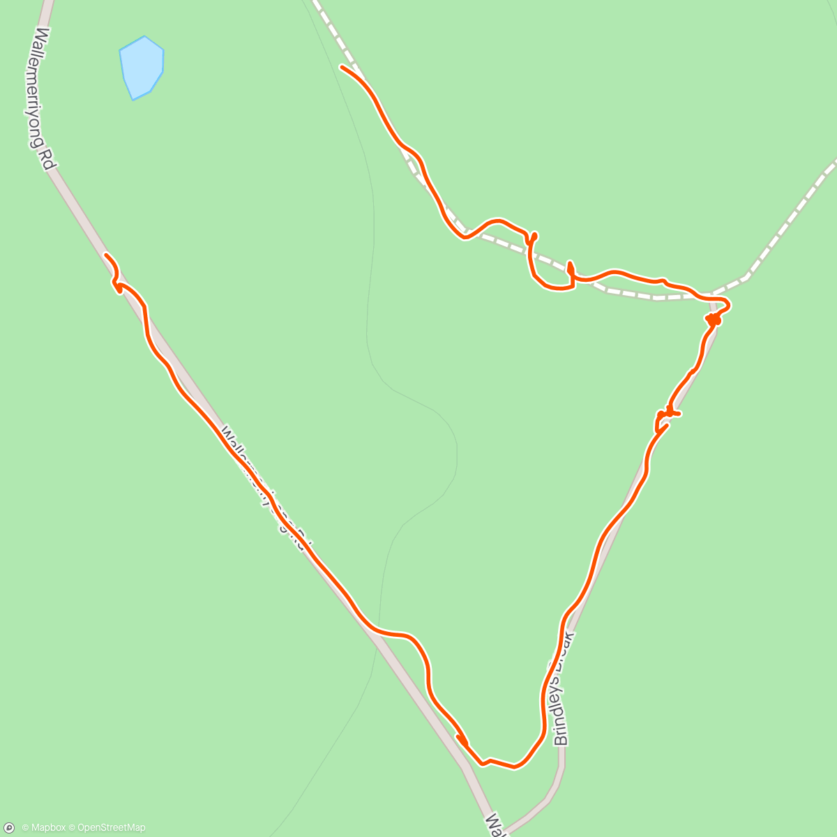 Map of the activity, Dog walking