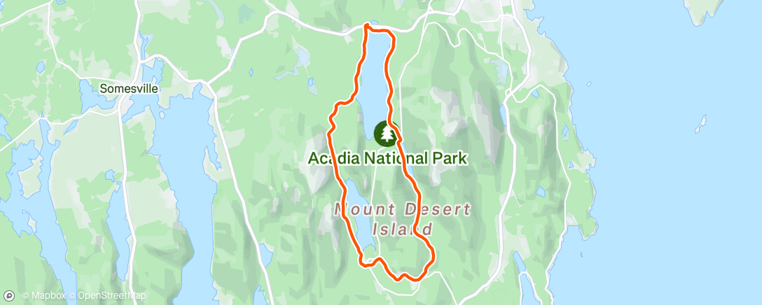 Map of the activity, With Wendy