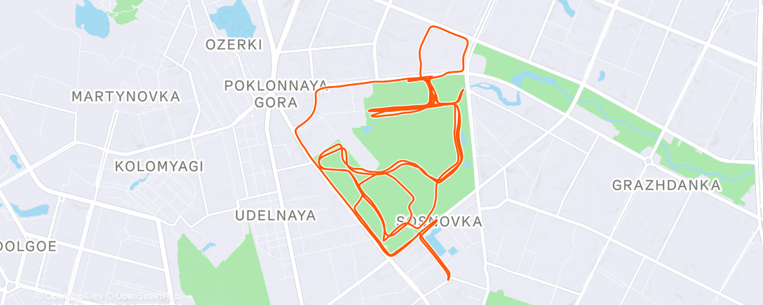 Карта физической активности (Утренний забег)