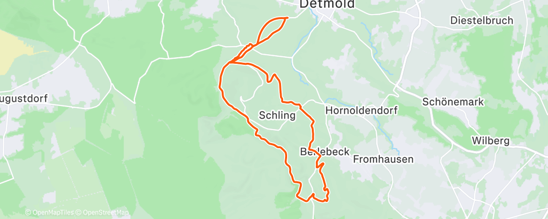 Map of the activity, Morning Run