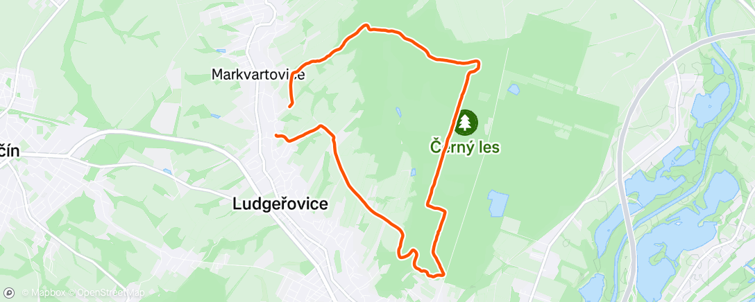 Map of the activity, Morning Trail Run