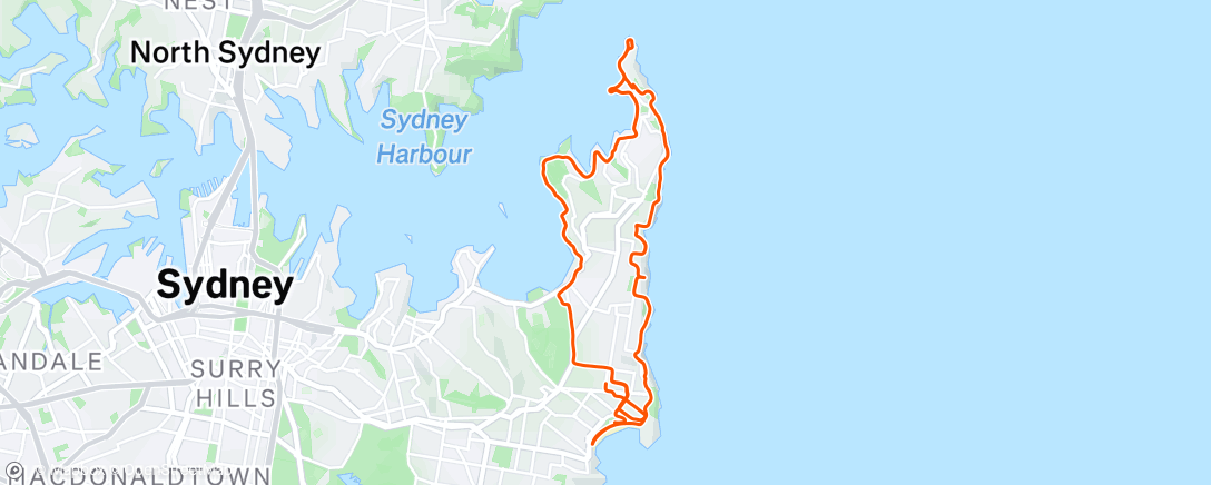 Map of the activity, Morning Run