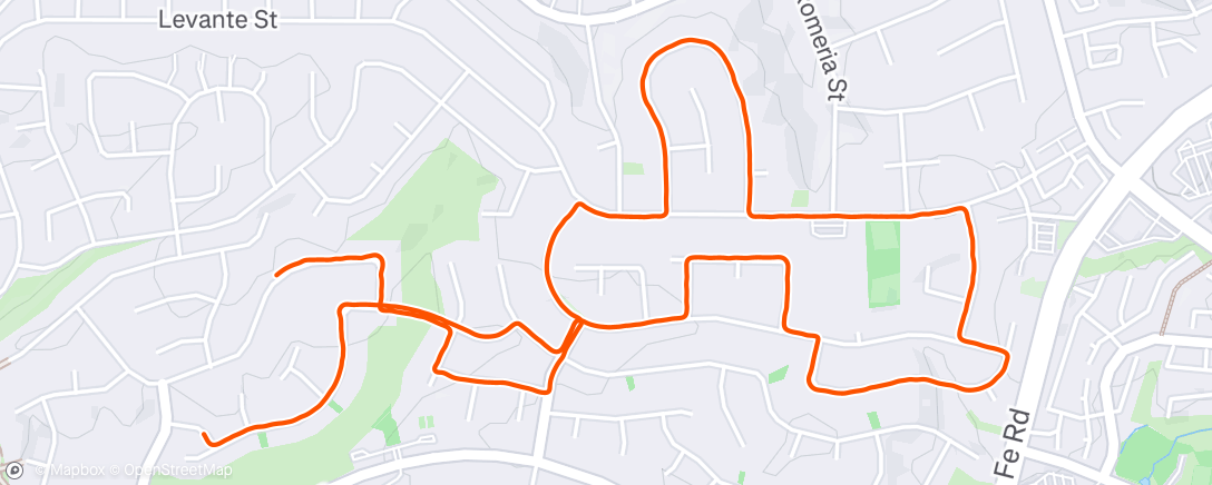 Map of the activity, Morning Run
