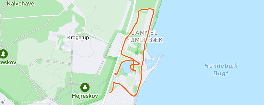 Map of the activity, Christmas Walk