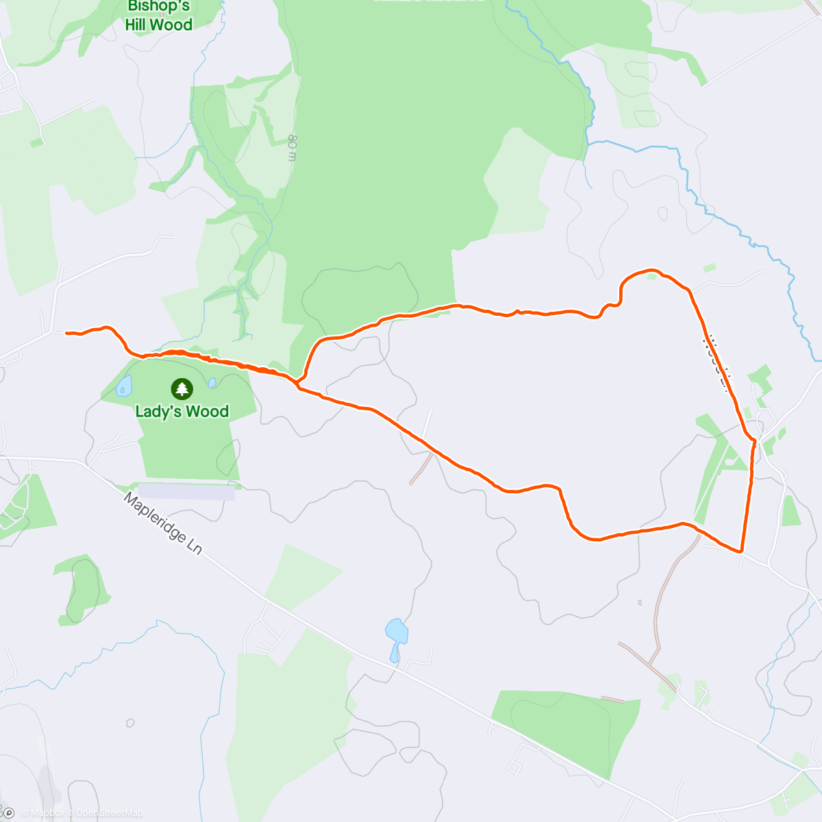 Map of the activity, Spring time walk.