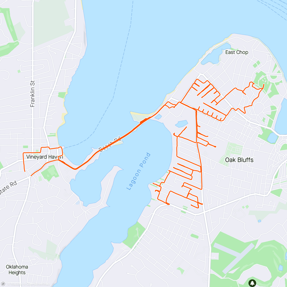 Карта физической активности (OB Wandering and New Bici Day for JBreezy)