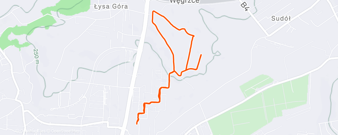 Map of the activity, If history repeats itself, I'm getting a dinosaur.