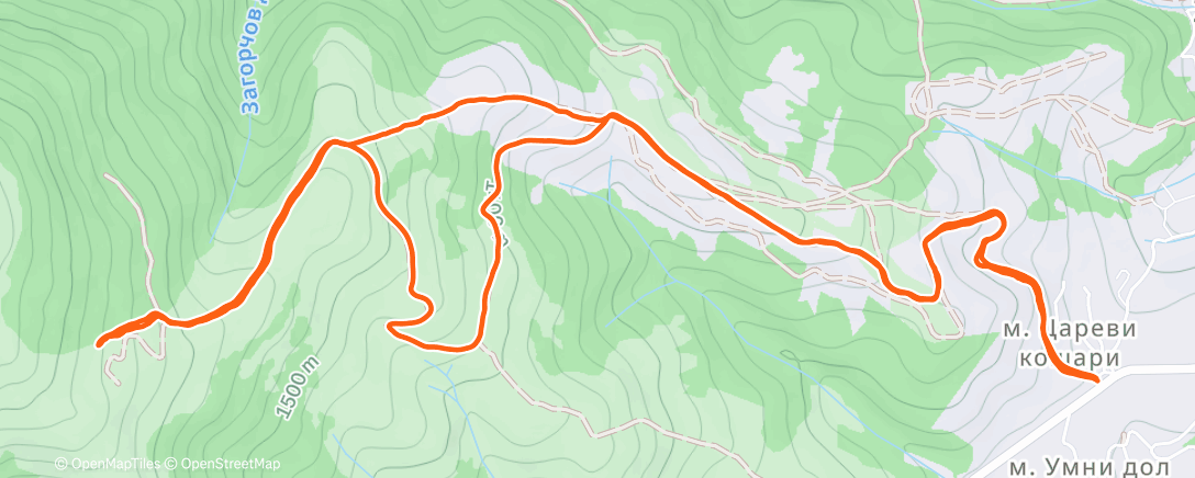 Карта физической активности (Morning Trail Run)