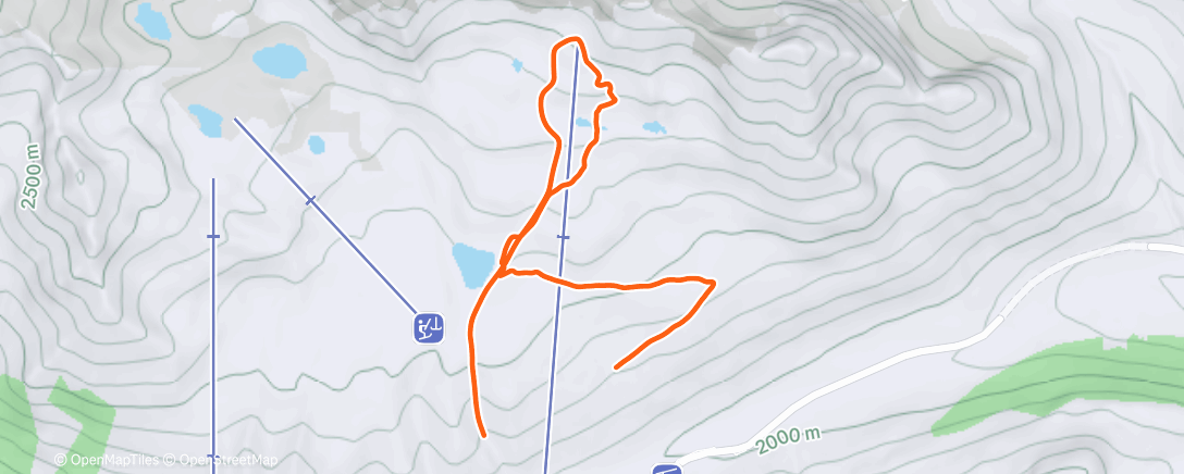 Карта физической активности (New year, same me 🥲)