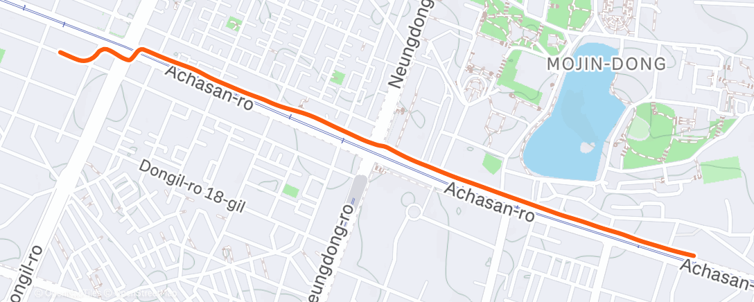 Карта физической активности (Morning Walk)