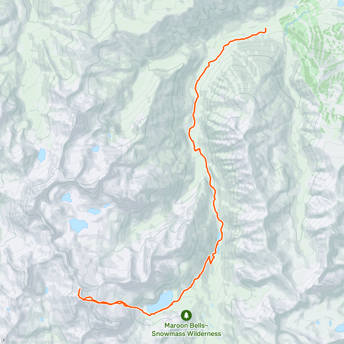Map of the activity, Mass