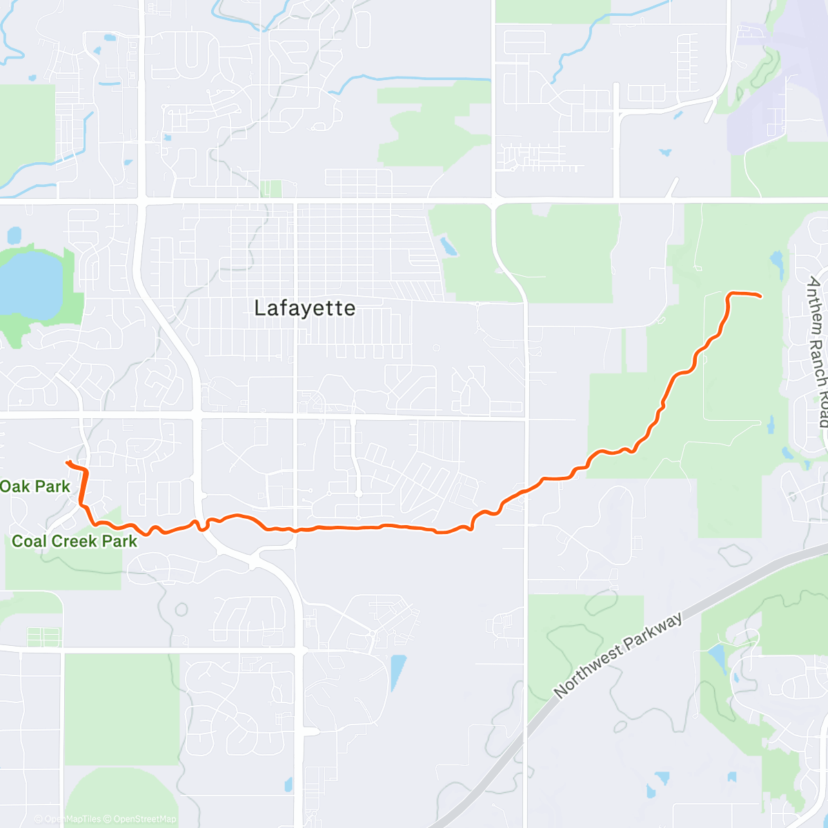 Карта физической активности (I like to be here when I can)