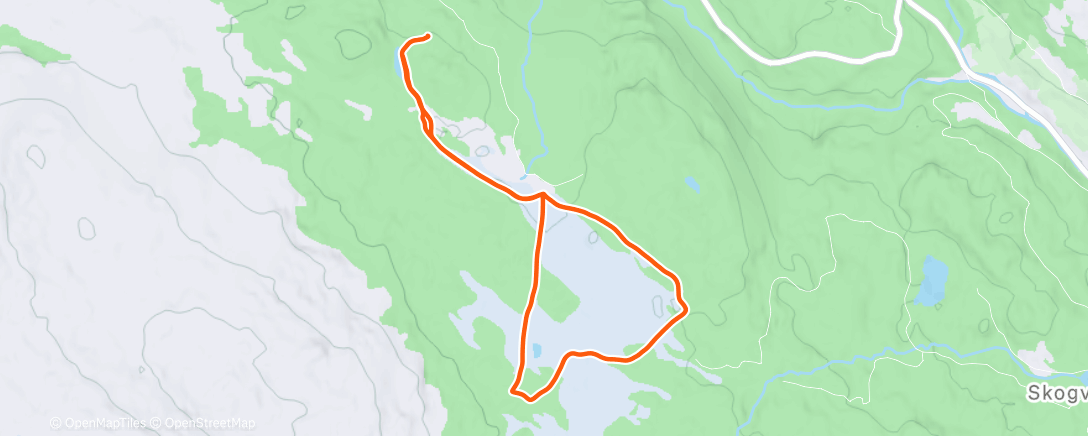 Карта физической активности (Afternoon Nordic Ski)