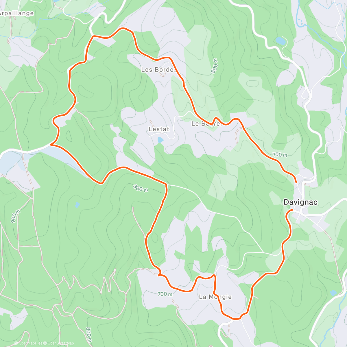 Карта физической активности (Afternoon Hike)