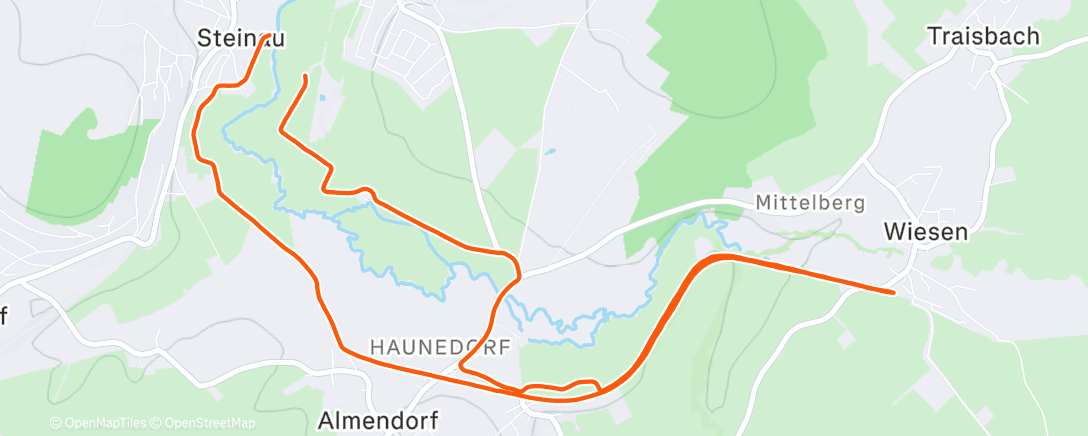 Map of the activity, Morning Run