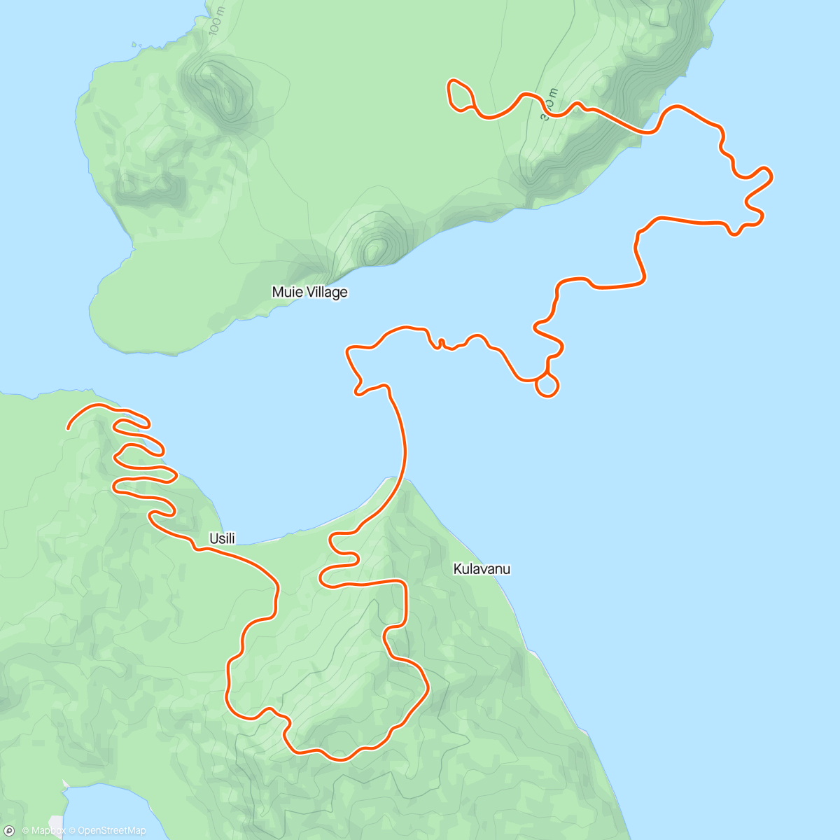 Map of the activity, Zwift - Descending Endurance in Watopia