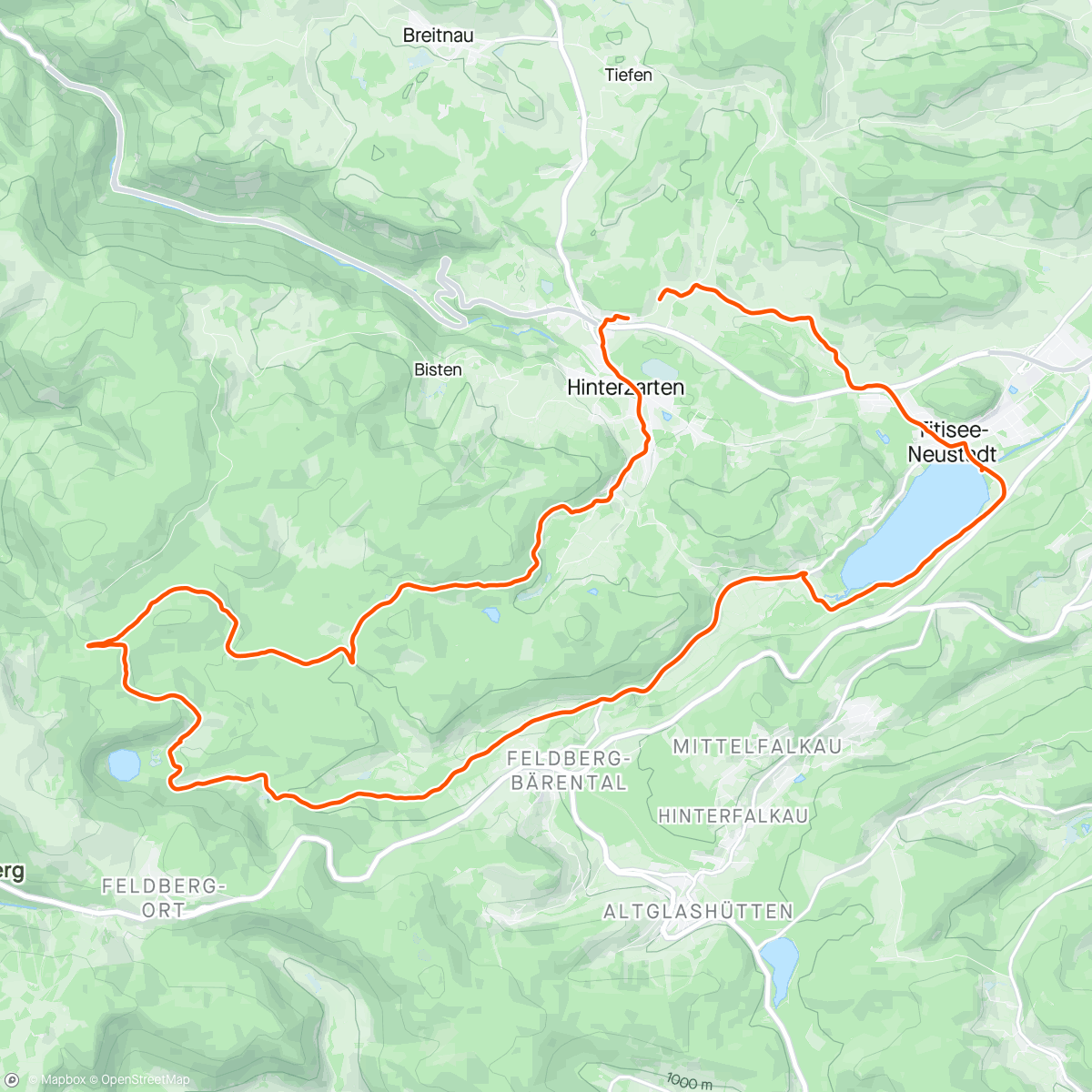 Mapa de la actividad, Titisee - Fries for the rich