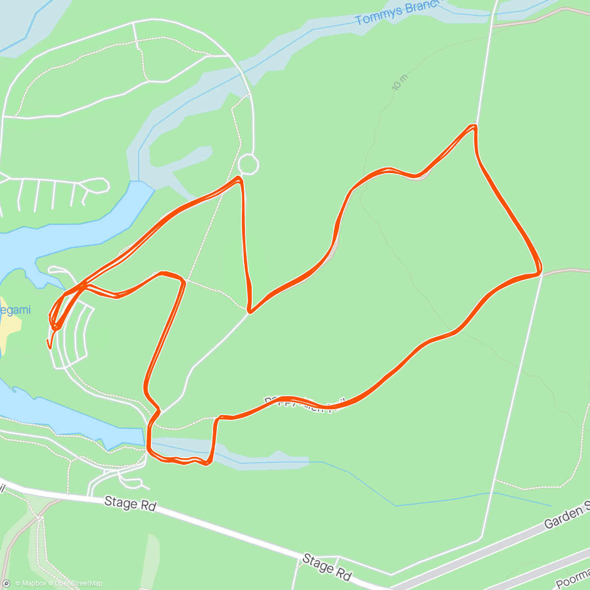 Map of the activity, ⛅ Inaugural Big Forest Half Marathon (1:32:46 official, 4th OA)