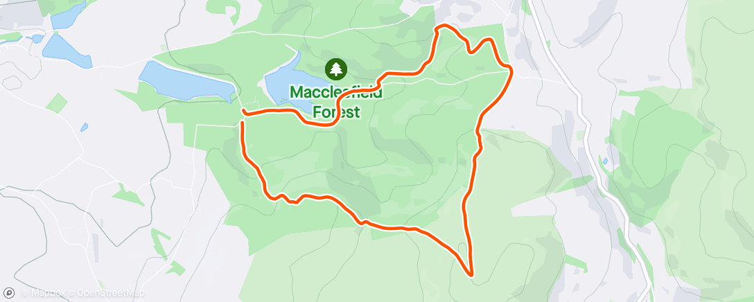Mapa de la actividad, Forest Loop - steady