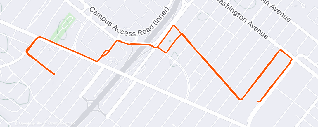 Карта физической активности (Lunch Run)