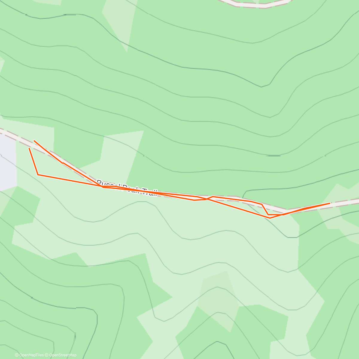 Map of the activity, Benjamin  took Coda for a walk with her Fi Smart Collar