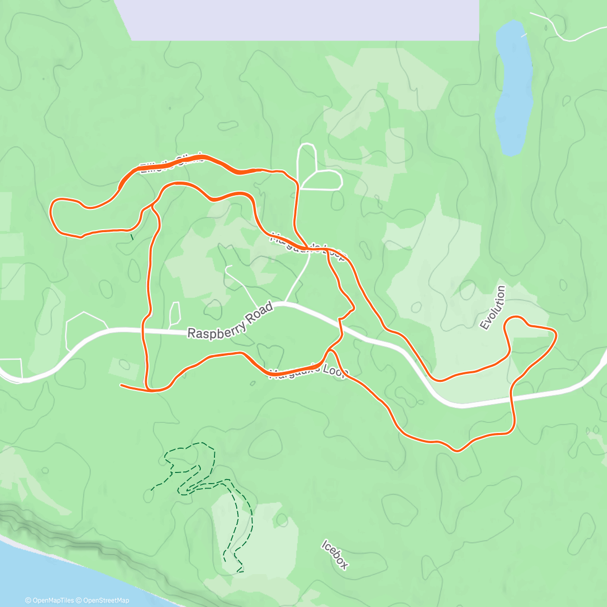 Карта физической активности (Afternoon Nordic Ski)