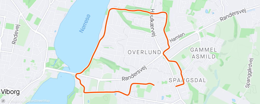 Map of the activity, Viborg Run/Walk