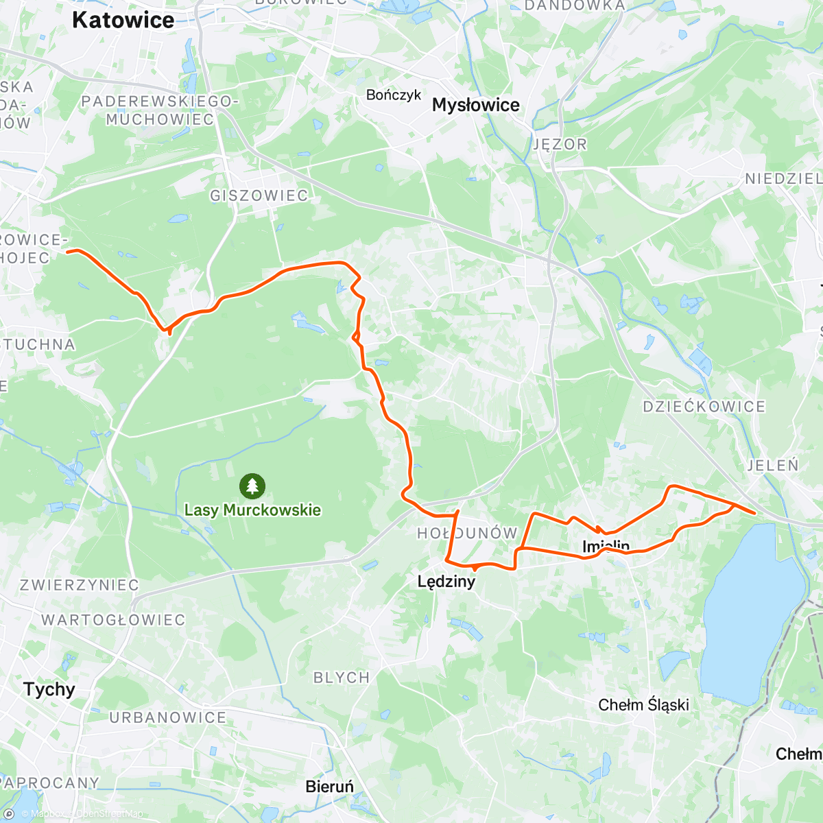 Map of the activity, Dziecki