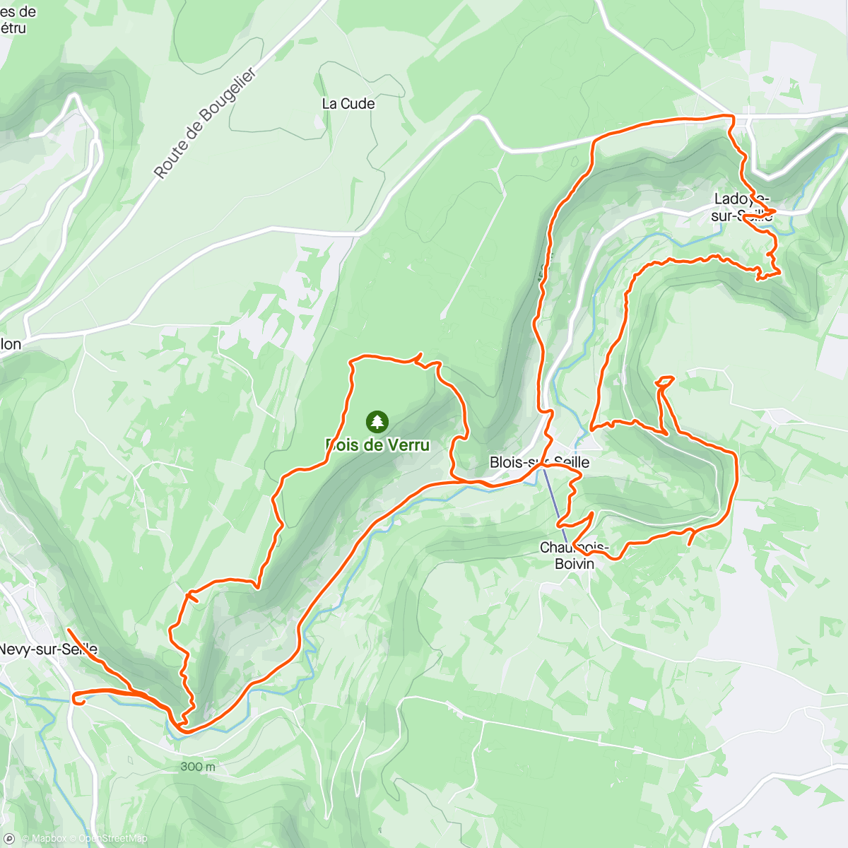 Mappa dell'attività Trail dans l'après-midi