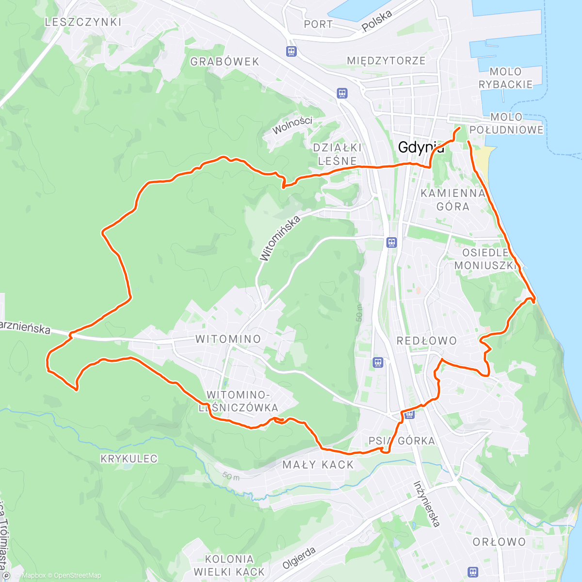Mapa de la actividad (Afternoon Trail Run Gdynia)