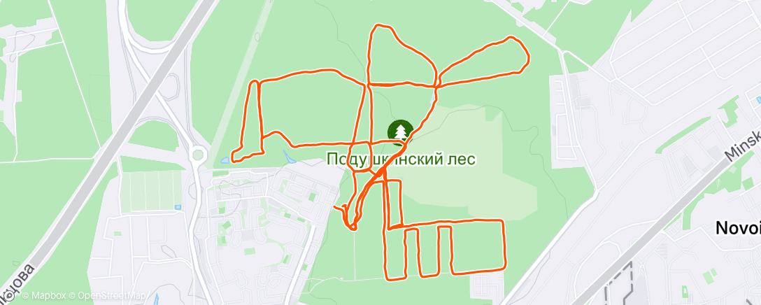 Map of the activity, Вечерний забег