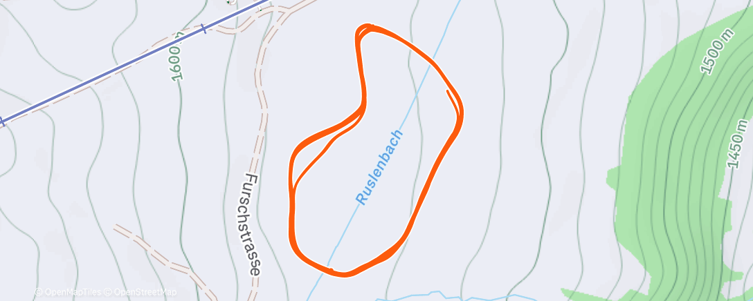 Карта физической активности (Ski Nordisch zur Mittagszeit)