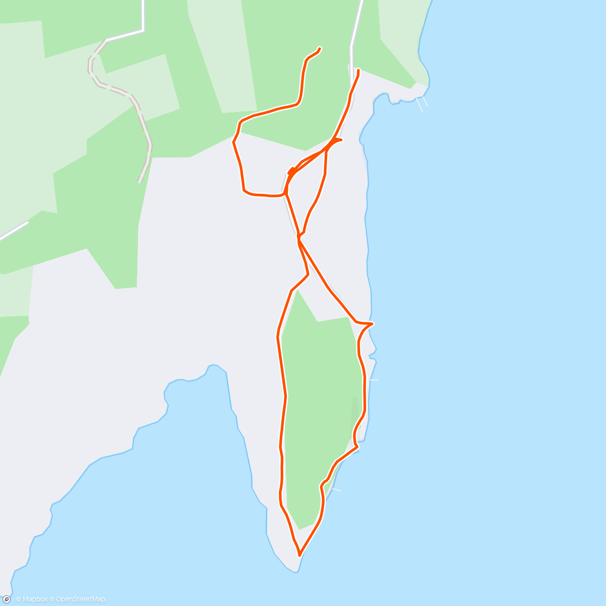 Map of the activity, Dog walk