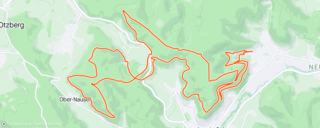 Карта физической активности (Traillauf am Morgen)