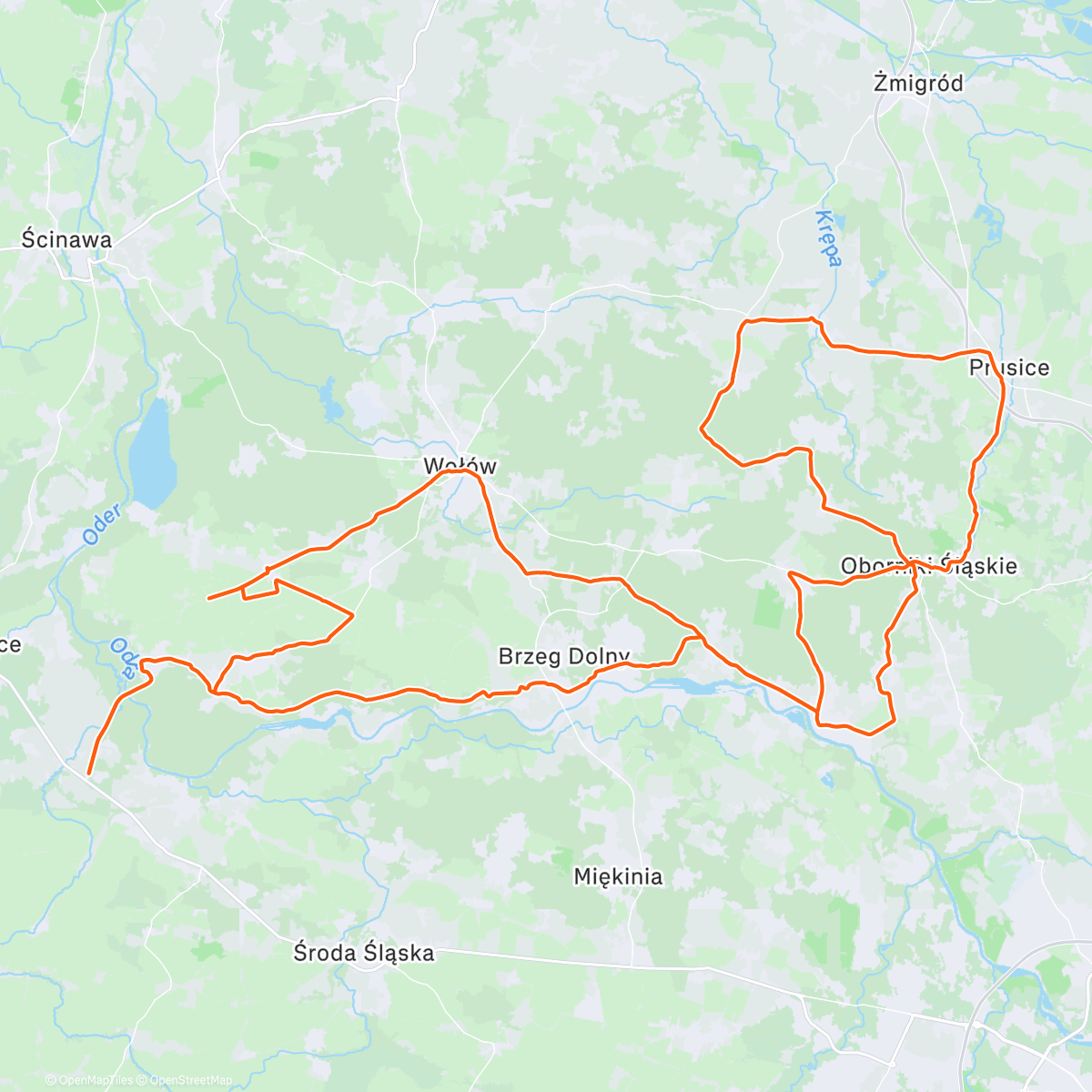 Карта физической активности (Morning Ride)