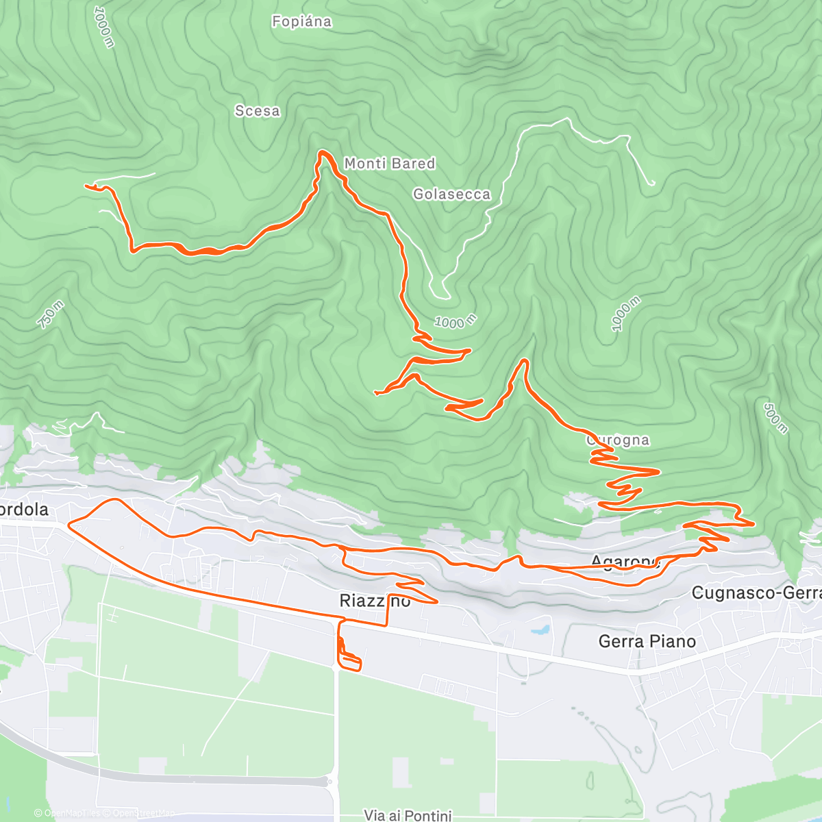 Карта физической активности (Happy Birthday Day Dad ☀️🥳!)