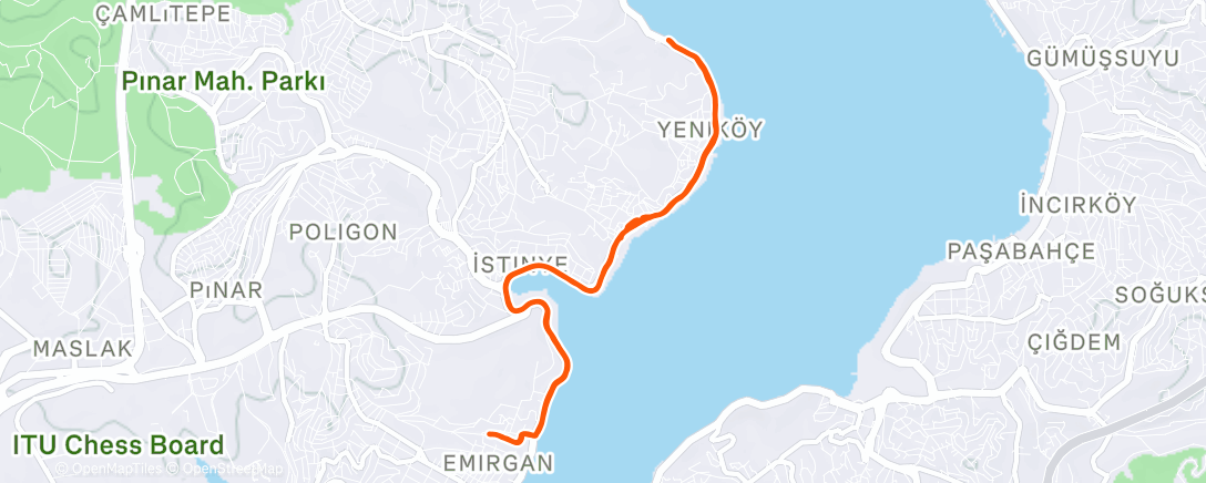 Карта физической активности (Lunch Run)