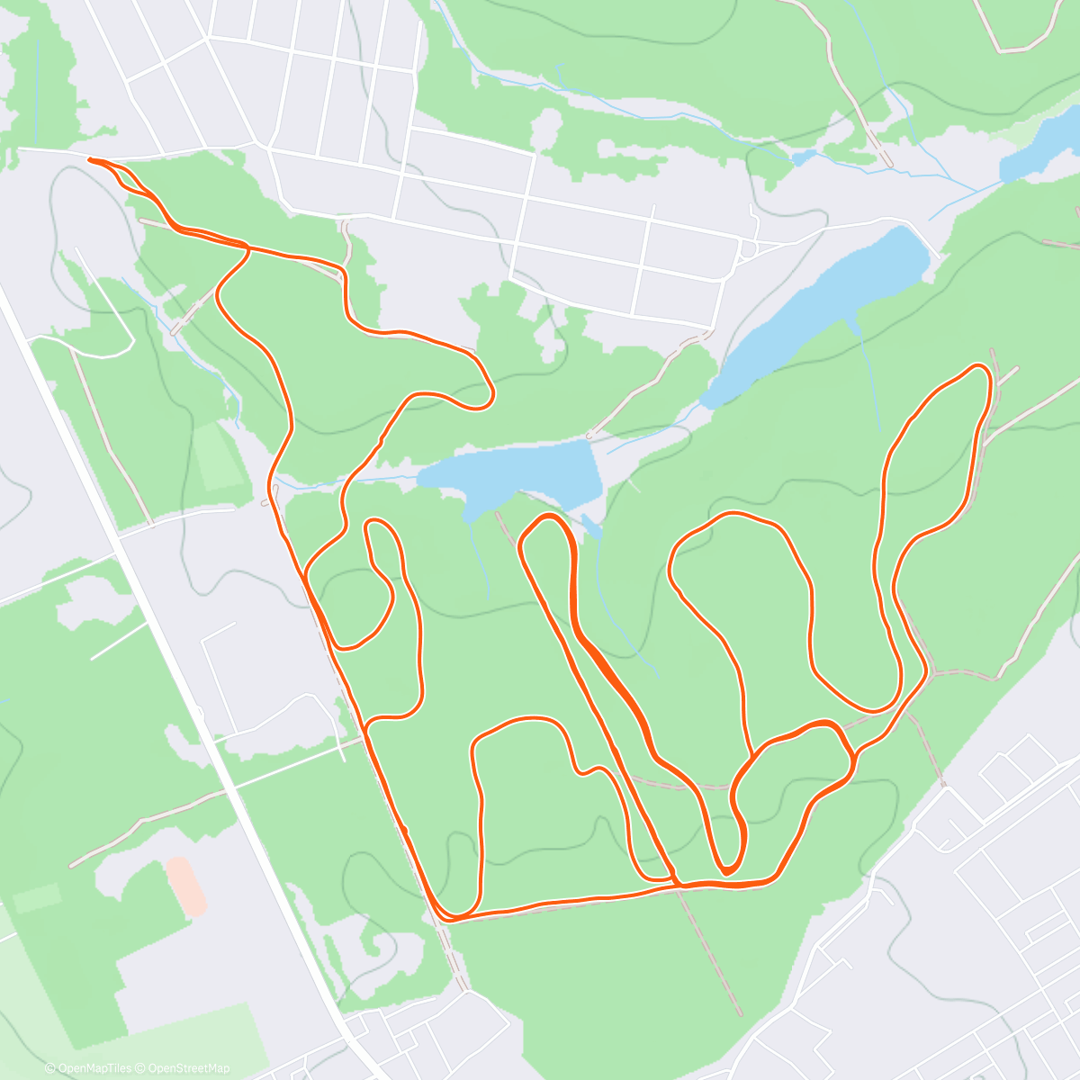 Карта физической активности (Вельветовый Щелчок)