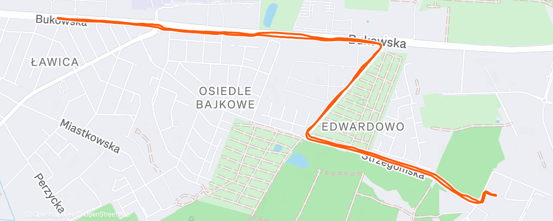 Map of the activity, Дневной забег